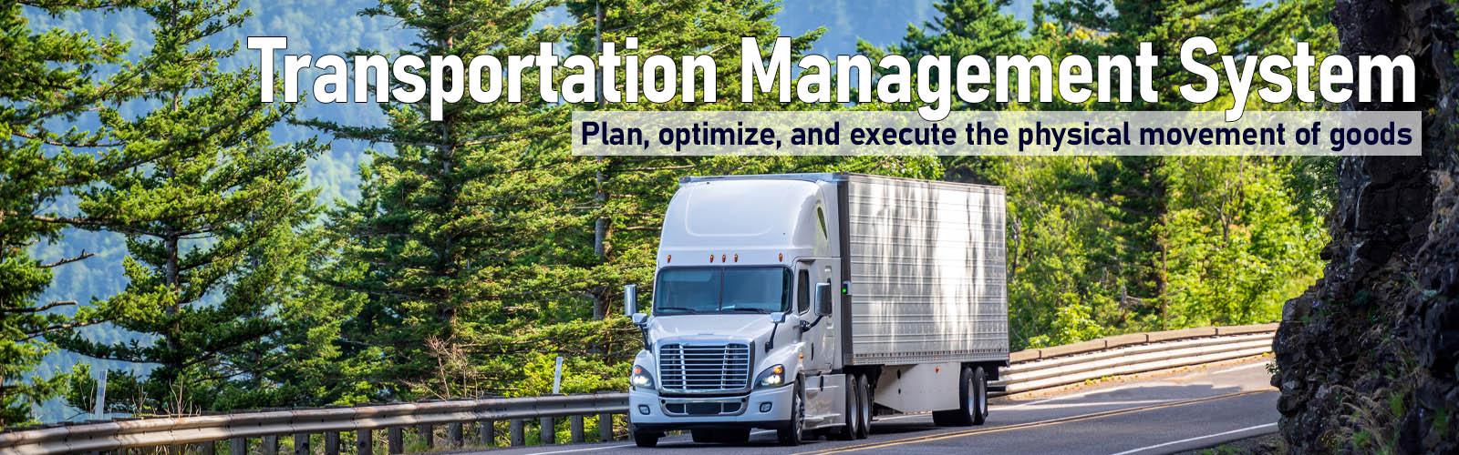 Transportation Management Services