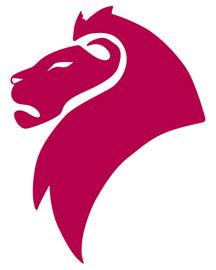 CT Lion