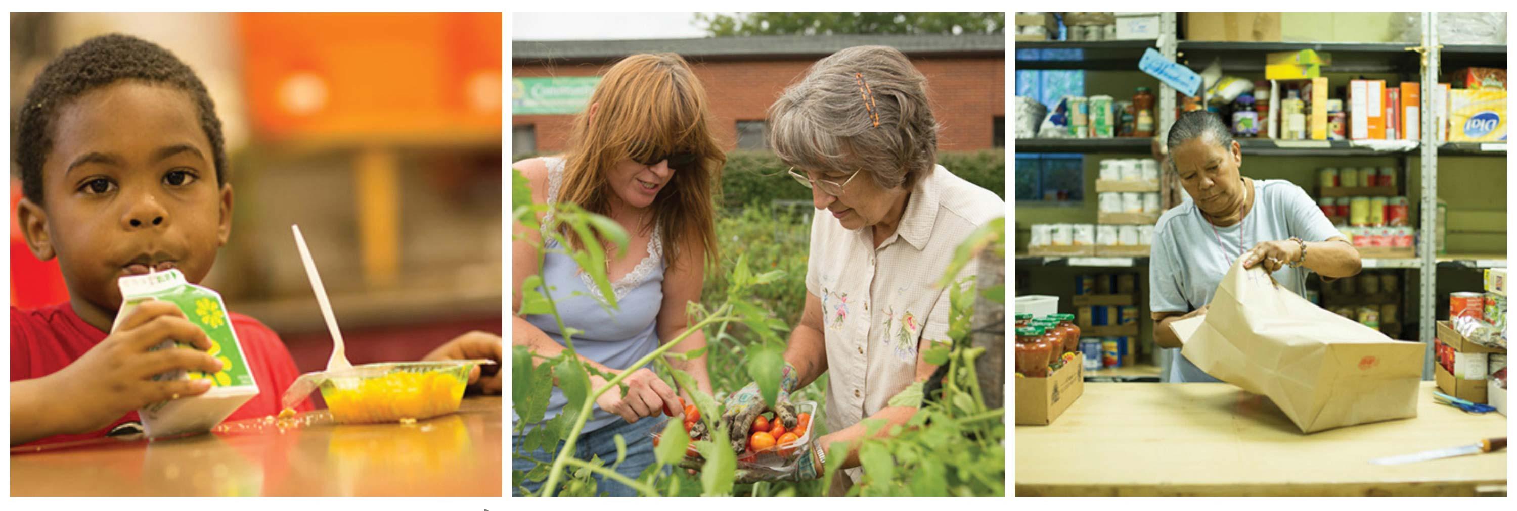 The Hunger Network photo